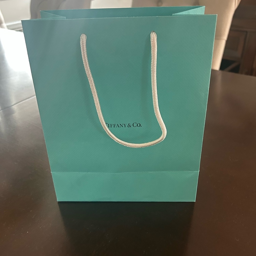 Tiffany & Co. Turquoise Shopping Bag-Large